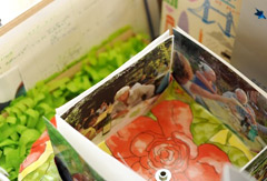 Memory boxes
